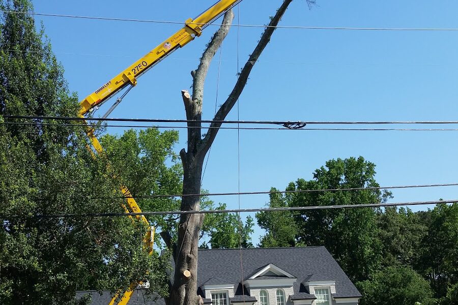 A+ Tree & Crane Services, Inc.