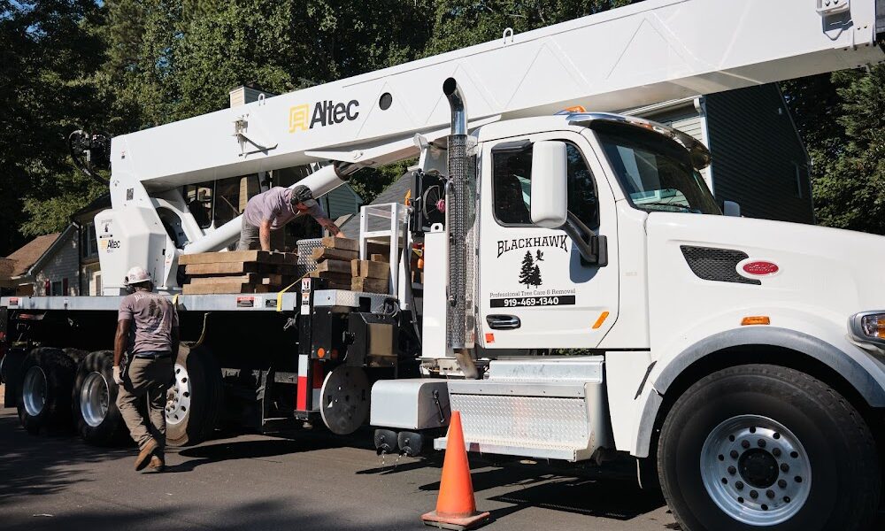 Blackhawk Tree Services