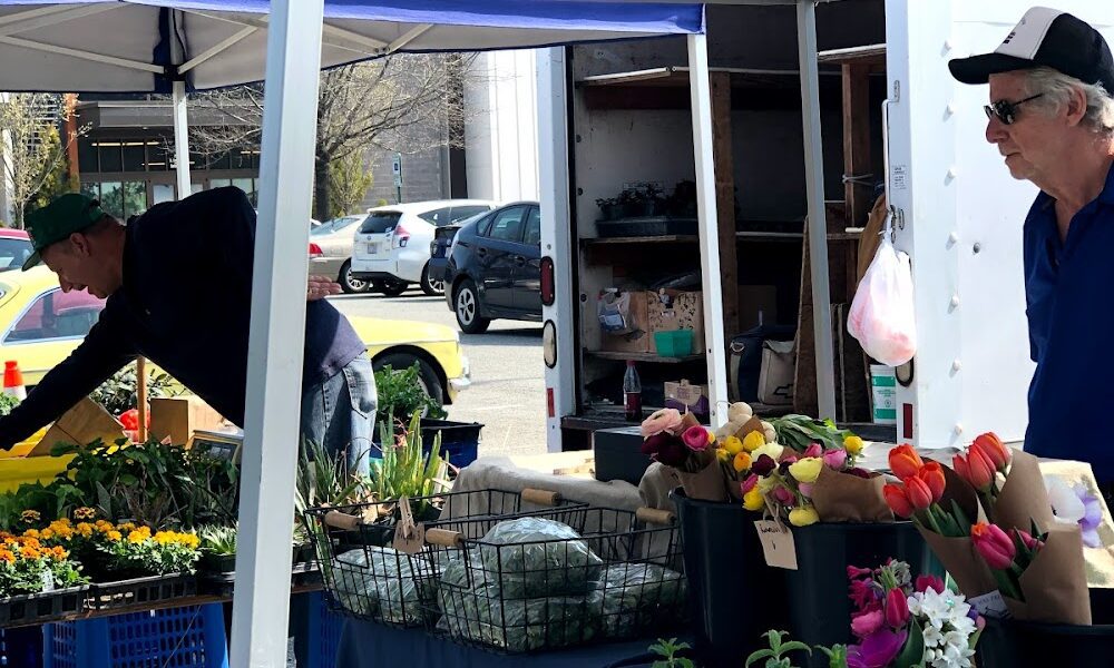 Chapel Hill Farmers’ Market