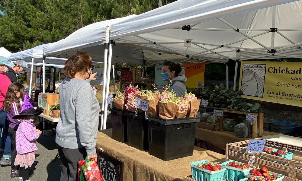 Holly Springs Farmers Market