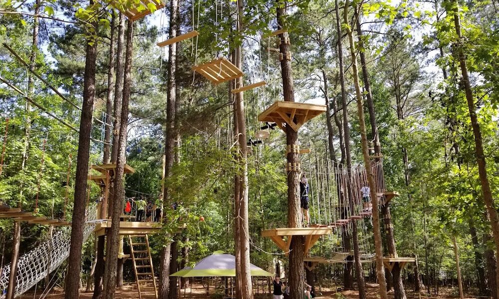 TreeRunner Adventure Park Raleigh